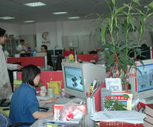 蔓藤式晉升 蔓藤式晉升