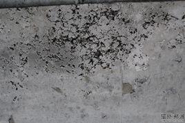 蜂窩麻面 蜂窩麻面