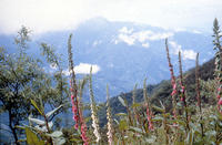 玉山公園 玉山公園