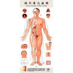 經外奇穴掛圖:男性 經外奇穴掛圖:男性