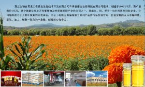 黑龍江省嘉寶生物技術開發有限公司 黑龍江省嘉寶生物技術開發有限公司