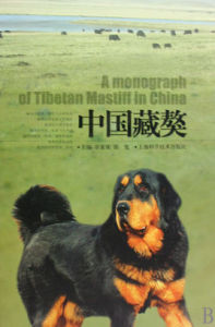 中國藏獒 中國藏獒