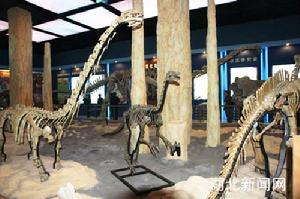（圖）恐龍化石展