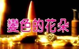 變色的花朵 變色的花朵