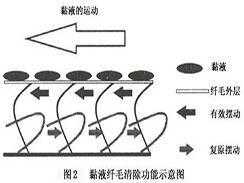 纖毛不動綜合徵