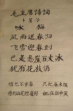 毛筆小楷：《卜運算元·詠梅》