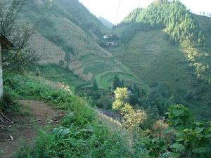 大坳頂自然村 大坳頂自然村