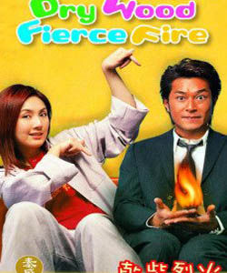 乾柴烈火[古天樂領銜主演的愛情電影]
