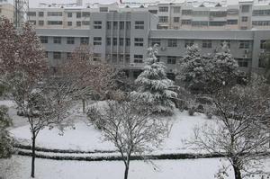 天平街道[山東省泰安市岱嶽區天平街道]