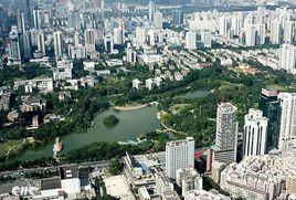 我在深圳特區 我在深圳特區