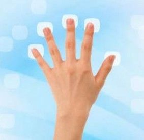 手掌幾何學識別 手掌幾何學識別