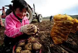 中國共產黨十七屆三中全會