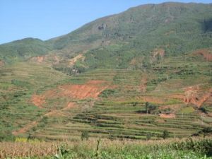 王家園子自然村