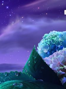 夢幻桌面 夢幻桌面