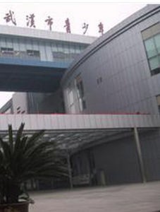 武漢市青少年宮 武漢市青少年宮