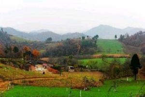 火石地村 火石地村