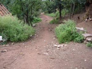 紫樹地村 紫樹地村