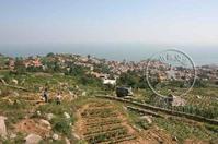 刁龍嘴社區 刁龍嘴社區