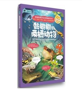 黏糊糊的兩棲動物 黏糊糊的兩棲動物