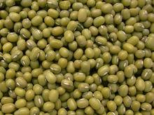 專營出口批發銷售-大明綠豆