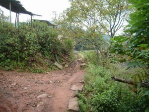 長路自然村 長路自然村