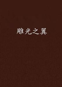 雕光之翼 雕光之翼