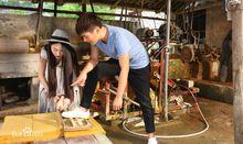 百科周觀影指南第31期