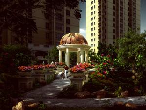 納帕名門 納帕名門