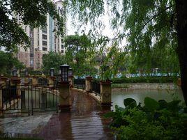 香樟社區 香樟社區