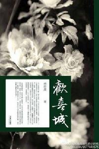歡喜城[林培源所著圖書]