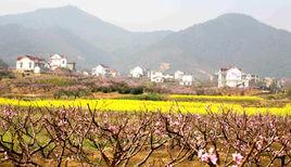 馬鞍山桃花村 馬鞍山桃花村