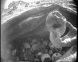 問題蜜餞 問題蜜餞