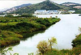 逯家莊村[山東省萊蕪市鋼城區艾山街道辦事處下轄村]