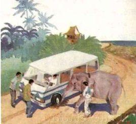 曼谷的小象 曼谷的小象