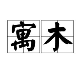 寓木 寓木
