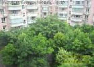 海靈小區 海靈小區