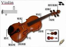 小提琴的詳細介紹