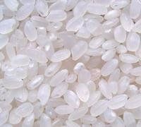 盤錦大米 盤錦大米