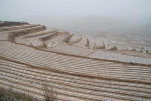 靜寧甘溝鄉農田
