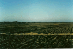 哈拉合少鄉 哈拉合少鄉