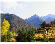 仙米原始天然林區 仙米原始天然林區