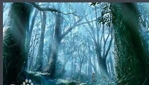 玉兔傳奇 玉兔傳奇