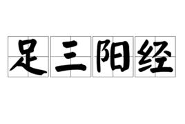 足三陽經 足三陽經