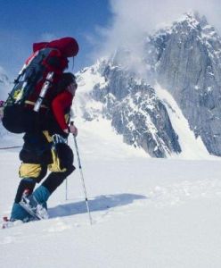 極地旅遊 極地旅遊