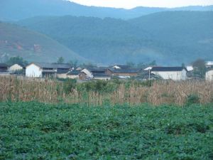 小大莊自然村 小大莊自然村