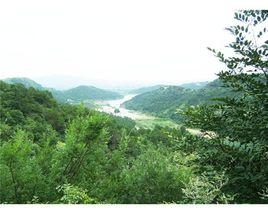 黃陂王家河 黃陂王家河