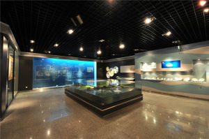 海南京潤珍珠博物館