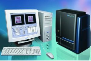 HP分型檢測 HP分型檢測