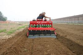 小麥播種機 小麥播種機