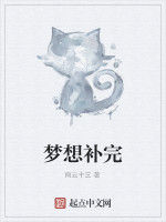 夢想補完 夢想補完